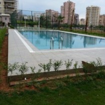 02-ddf5585411